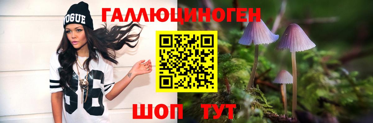 Галлюциногенные грибы мицелий Будённовск
