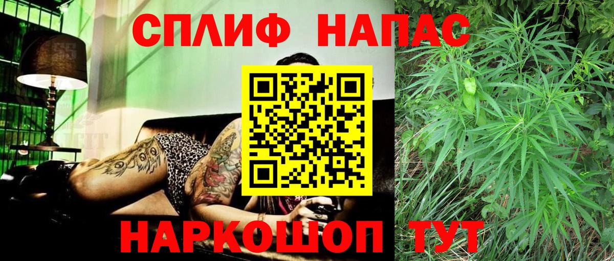 Конопля семена  Вход с VPN  Бошки марихуана гибрид  Будённовск  Канабис тримм  МАРИХУАНА гибрид 